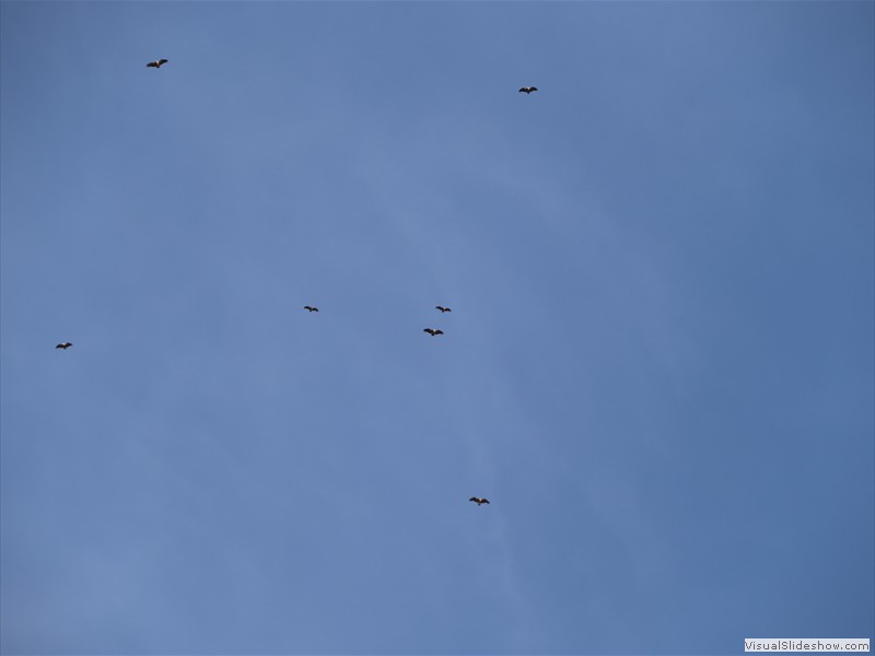 andalucia-090