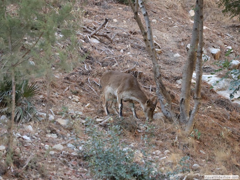 andalucia-091