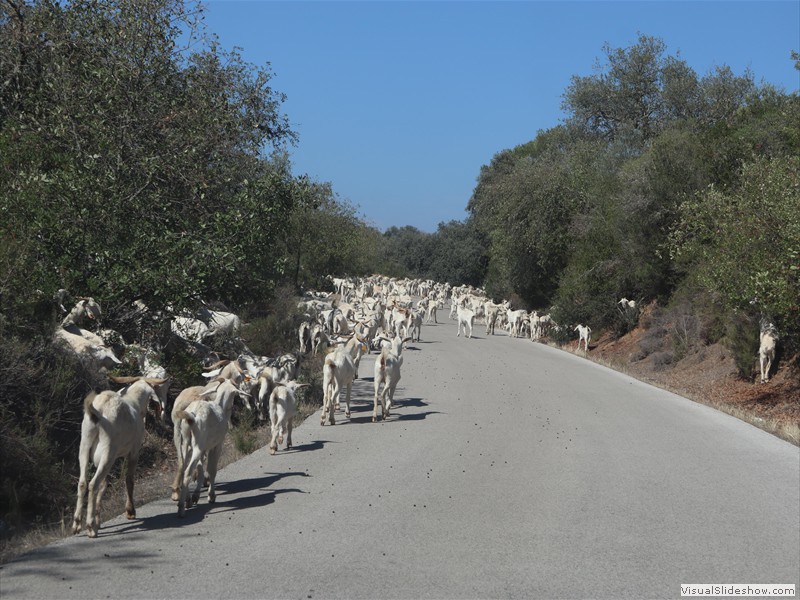 andalucia-153