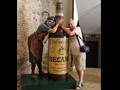 andalucia-064
