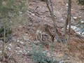 andalucia-091