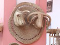andalucia-132