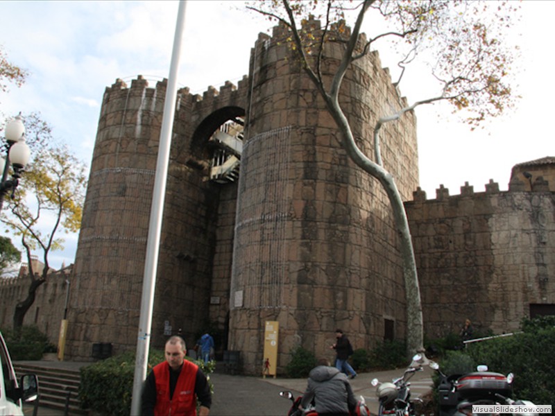 Barc_334