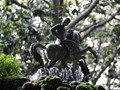 Barc_019
