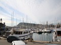 Barc_338