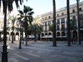 Barc_444