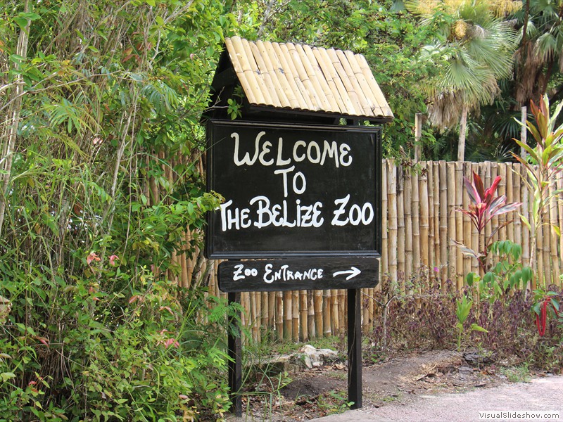 BEL-236