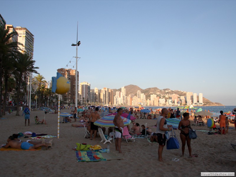 beni_046