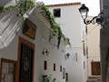 beni_009