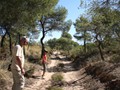 beni_054