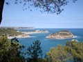 beni_090
