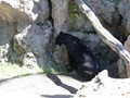 beni_142