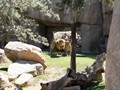 beni_159