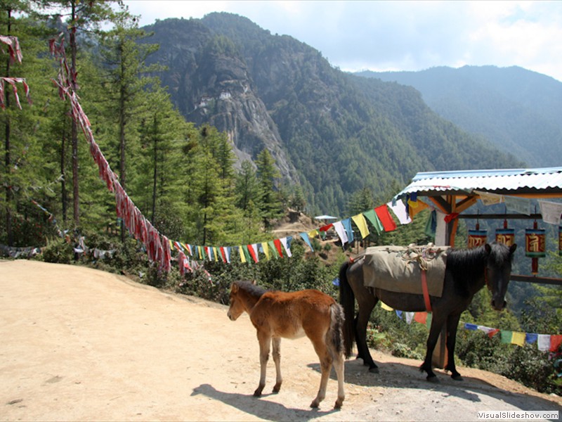 bhutan_027