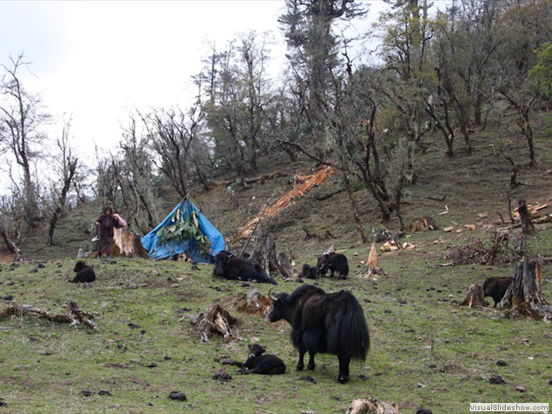 bhutan_240