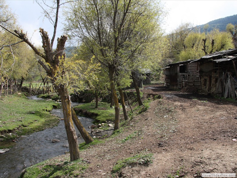 bhutan_320
