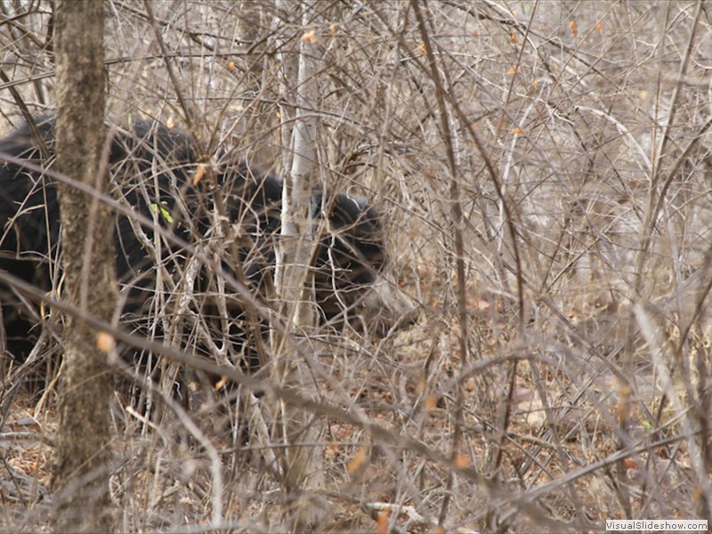 bhutan_579
