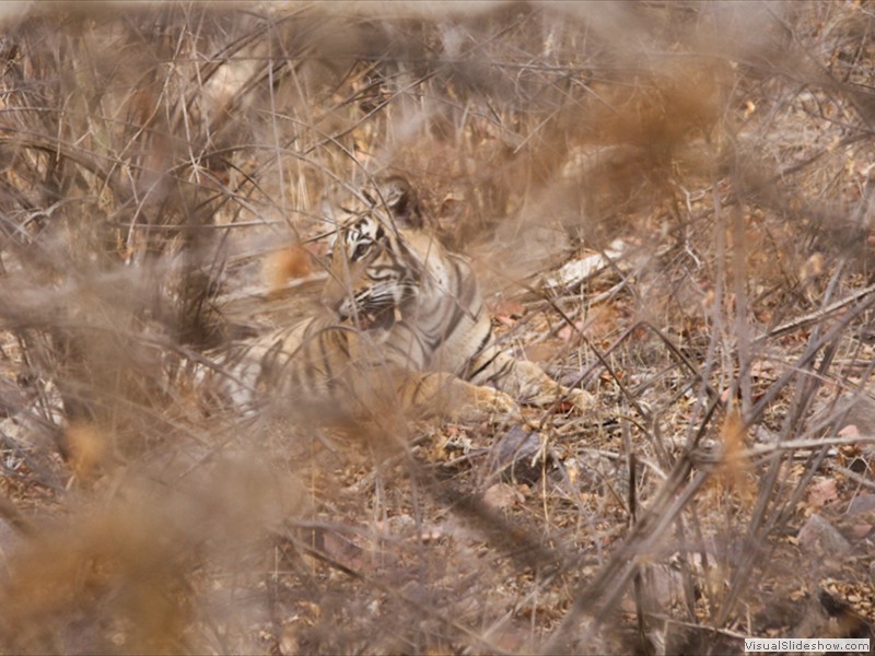 bhutan_581