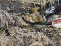 bhutan_104