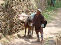 bhutan_105