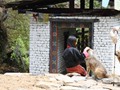 bhutan_117