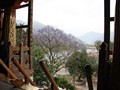 bhutan_159