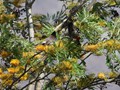 bhutan_402