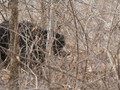 bhutan_579