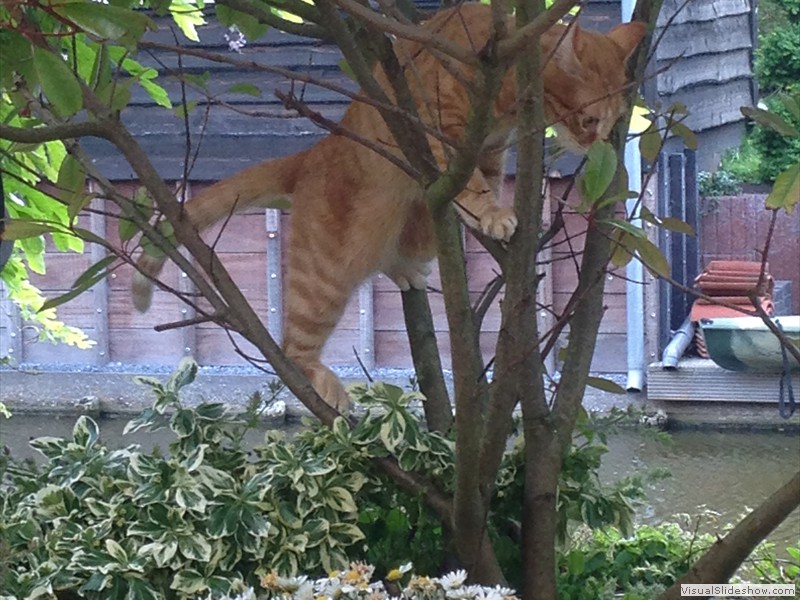 kat-08