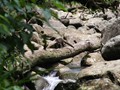 Costa_012