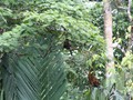 Costa_015