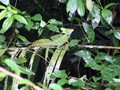 Costa_025