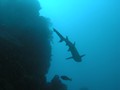 Costa_044