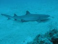 Costa_046