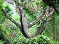 Costa_053
