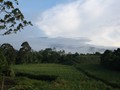 Costa_067