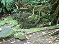 Costa_073