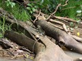 Costa_096