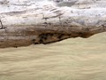 Costa_104