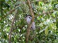 Costa_119