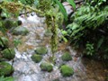 Costa_145