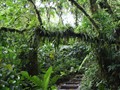 Costa_146