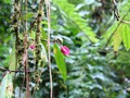 Costa_147