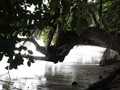 Costa_159