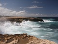 IMG_0507