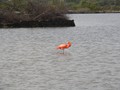 IMG_0559