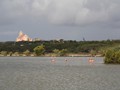 IMG_0562