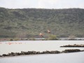 IMG_0569