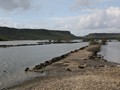 IMG_0570