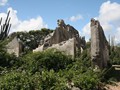 IMG_0582